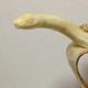 Illustration for article titled Japanese Banana Art Is So Damn Appealing
